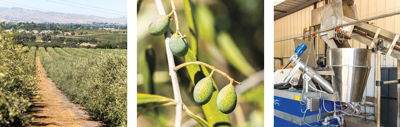 East Bay Food Creators
